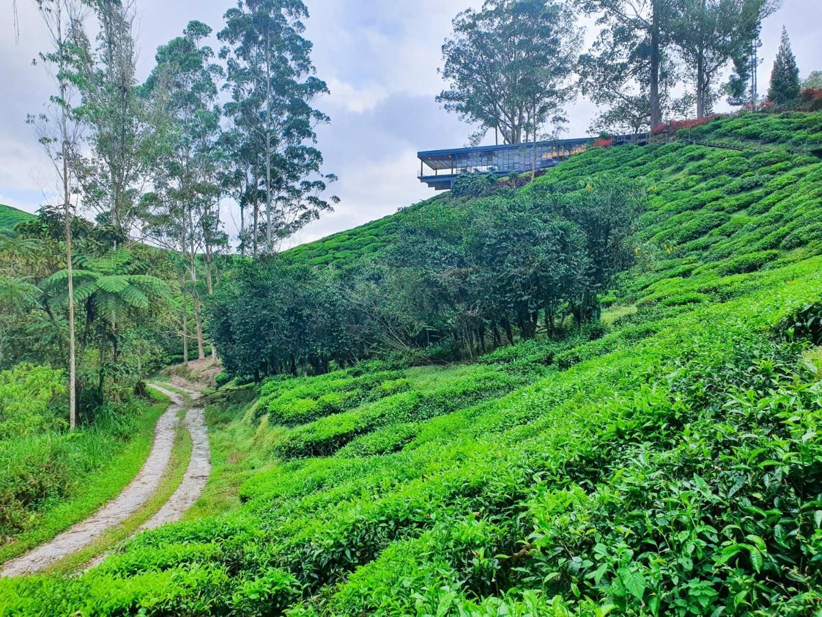 Mossy Forest Family Retreat, Kea Farm Brinchang 아파트 외부 사진