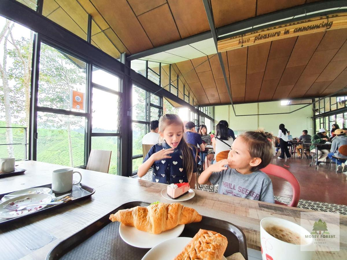 Mossy Forest Family Retreat, Kea Farm Brinchang 아파트 외부 사진