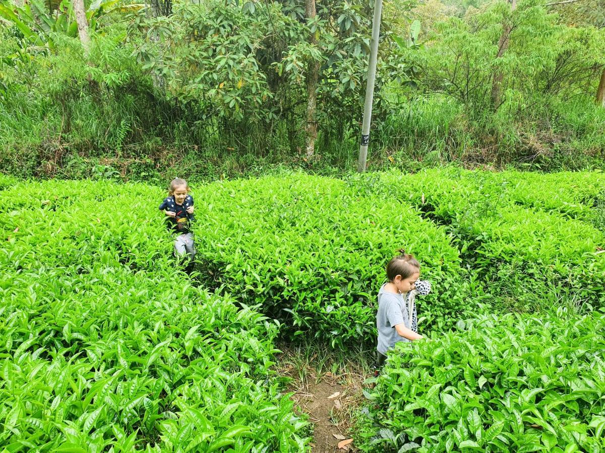 Mossy Forest Family Retreat, Kea Farm Brinchang 아파트 외부 사진