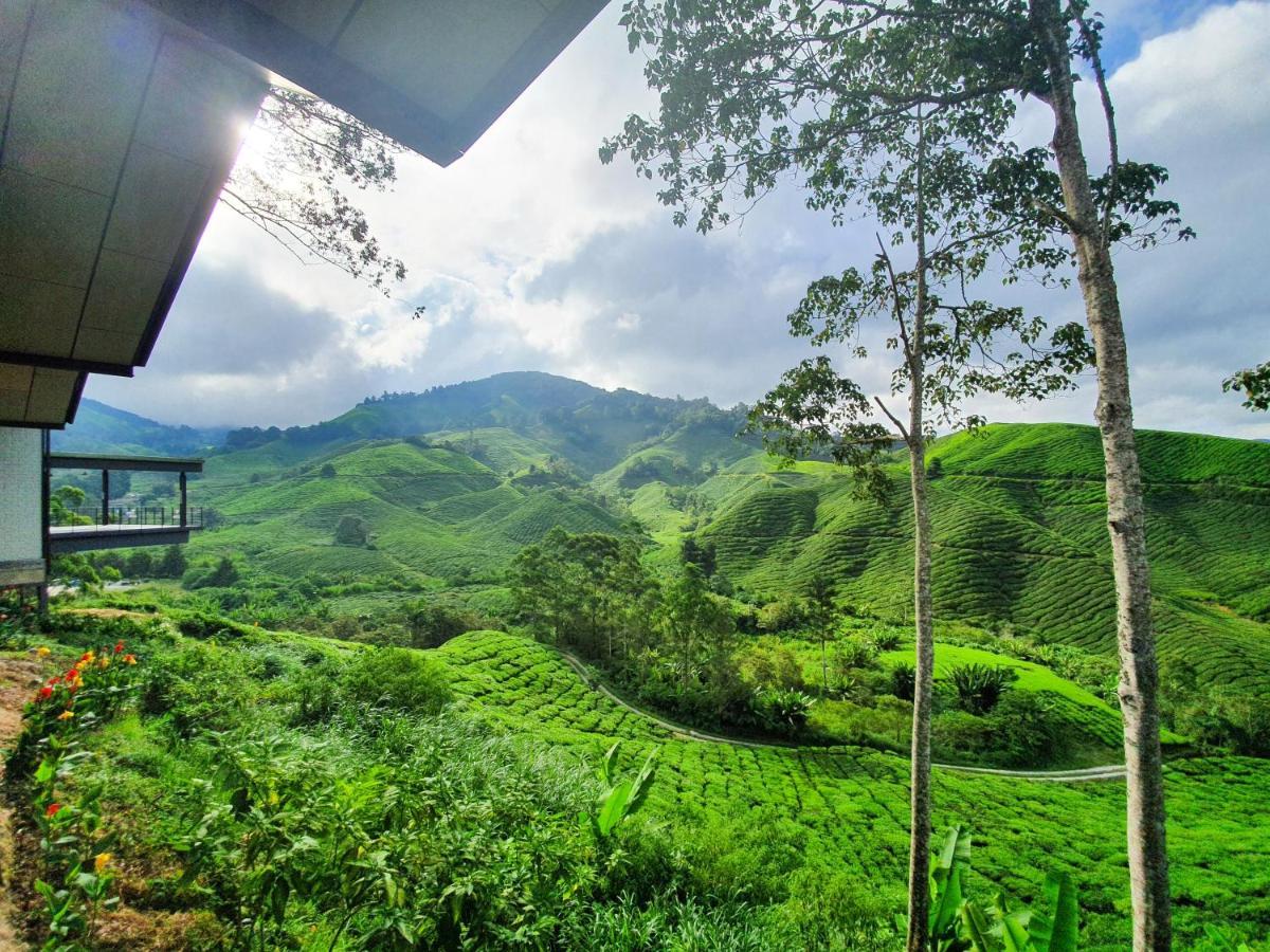 Mossy Forest Family Retreat, Kea Farm Brinchang 아파트 외부 사진