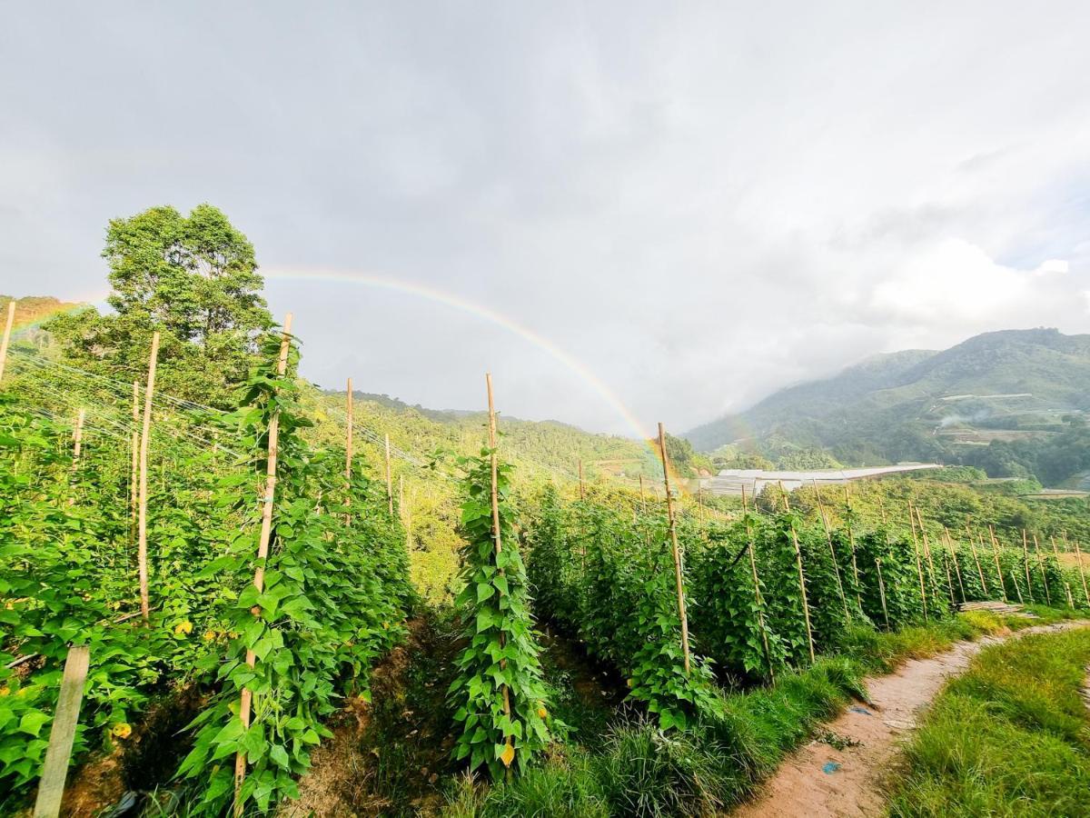 Mossy Forest Family Retreat, Kea Farm Brinchang 아파트 외부 사진