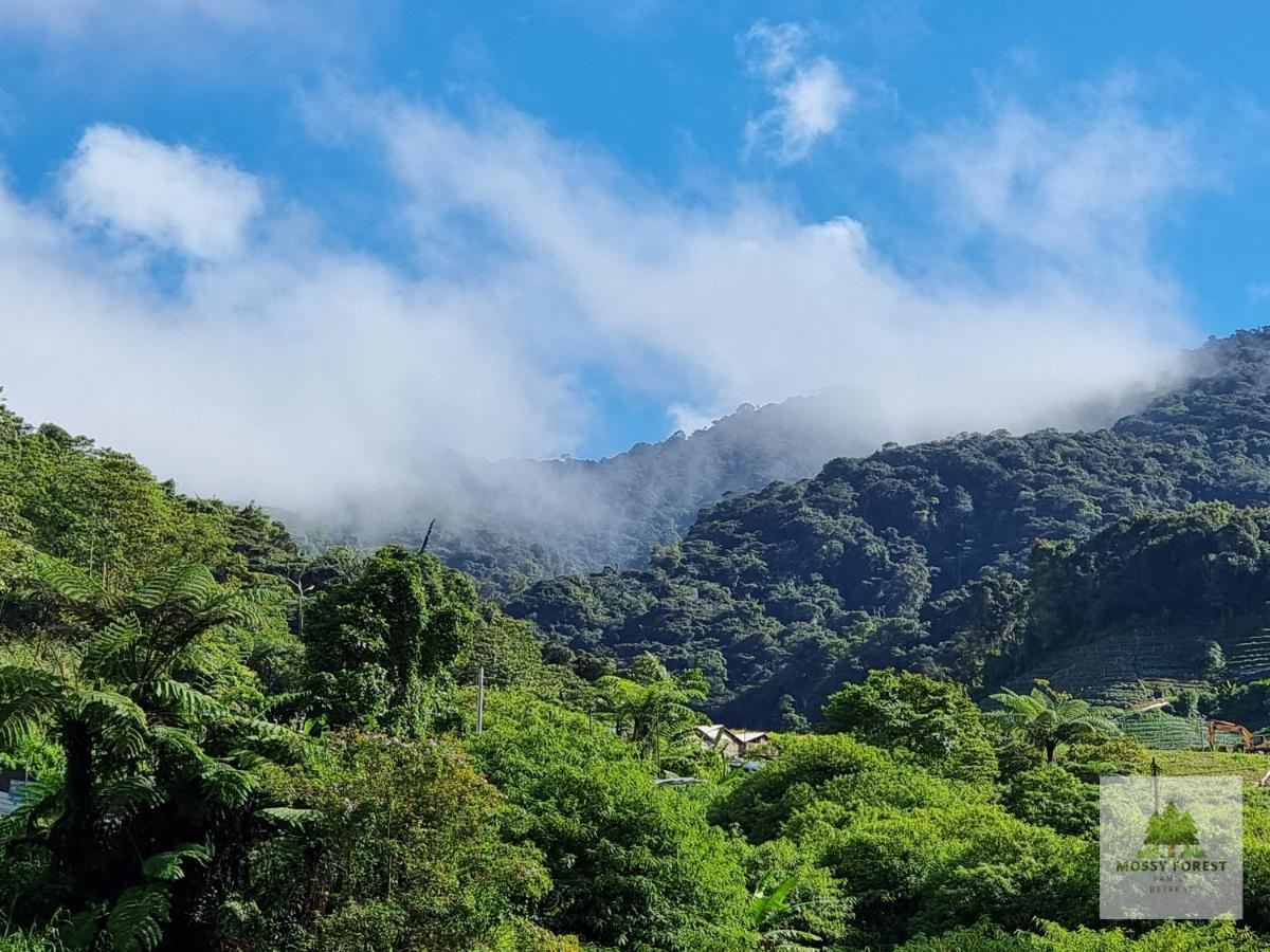 Mossy Forest Family Retreat, Kea Farm Brinchang 아파트 외부 사진